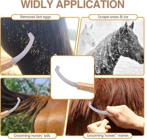 Bot Egg Knife for Horses, Precision Grooming for Bot Egg Removal Stainless Steel Blade with Wooden Handle Horse Equine Tack Care Farrier Tool in Saudi Arabia