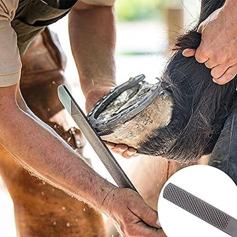 LONG RIVER Horse Farrier Hoof Tool Kit（7 Piece） with Carry Bag Horse Equine Metal Shears Farriers Hoof Nipper Cutter Handle Knife Stable Supplies Professional Hoof Trimming Tools in Kuwait
