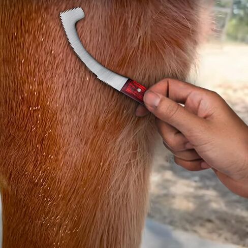 Equine Care Bot Fly Egg Remover for Horses, Bot Fly Knife in Saudi Arabia