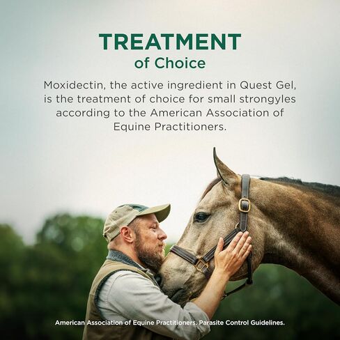 Quest (moxidectin) Gel Dewormer for Horses, 0.5 oz Syringe in Saudi Arabia