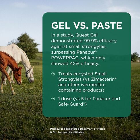 Quest (moxidectin) Gel Dewormer for Horses, 0.5 oz Syringe in Saudi Arabia