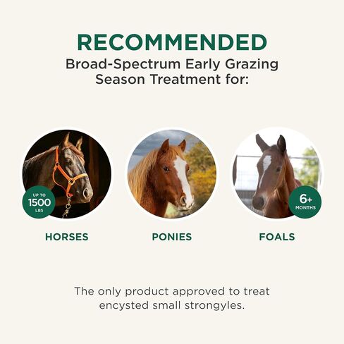 Quest (moxidectin) Gel Dewormer for Horses, 0.5 oz Syringe in Saudi Arabia