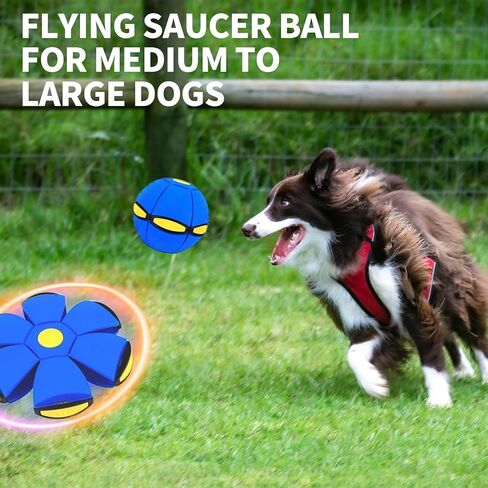 2PCS Magic Bouncing Ball Toy, Children's Magic Meta - Balls, Dual Form Pop up Flying Saucer Ball, Parent-Child Interactive with 3 Light for Indoor & Outdoor Use Pink+Blue in Kuwait
