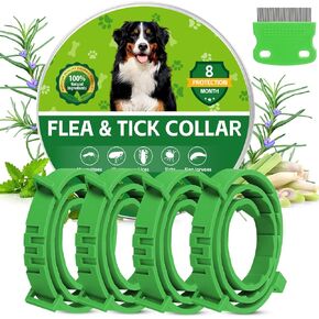 4 Pack Dog Flea Collars for Small Medium Large Dogs, Adjustable in Saudi Arabia