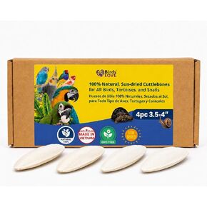 Birds LOVE 3.5-4″ Cuttlebone for Birds – 100% Natural Sun-Dried Calcium & Beak Conditioning Supplement for Parakeets, Budgies, Cockatiels, Finches & Canaries – 4 Pack with Holder – Made in Vietnam in Saudi Arabia