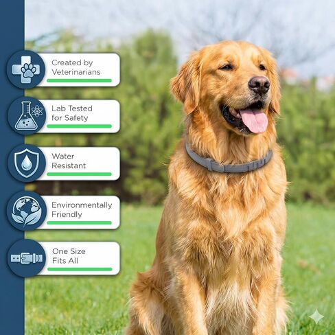 Flea and Tick Collar for Large Dogs 2 Pack, Waterproof & Adjustable Dog Flea Collar with Natural Essential Oils, 12-Month Protection, Includes Flea Comb & Tweezers in Premium Aluminum Gift Box in Saudi Arabia