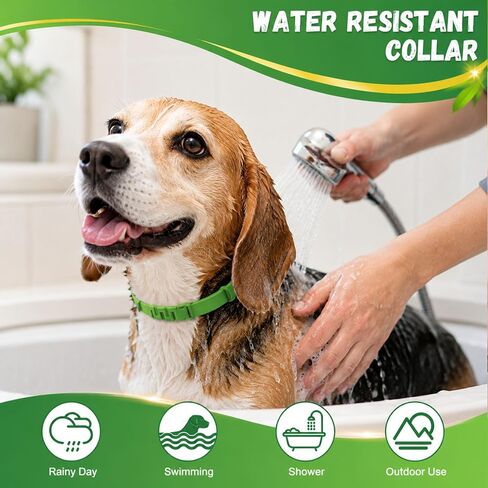 4 Pack Dog Flea Collars for Small Medium Large Dogs, Adjustable in Saudi Arabia