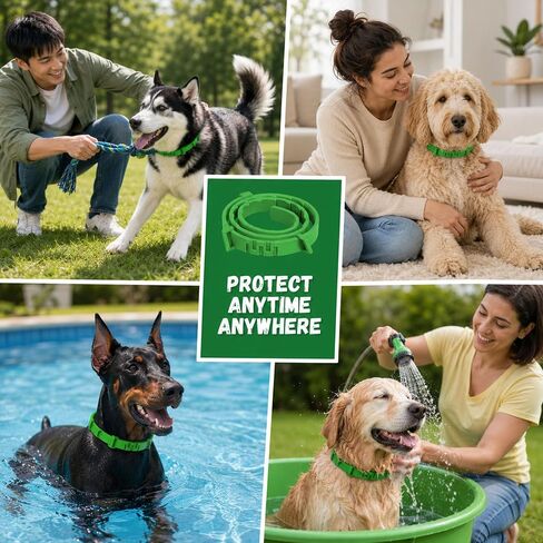 4 Pack Dog Flea Collars for Small Medium Large Dogs, Adjustable in Saudi Arabia