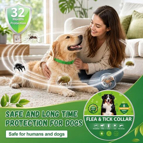 4 Pack Dog Flea Collars for Small Medium Large Dogs, Adjustable in Saudi Arabia