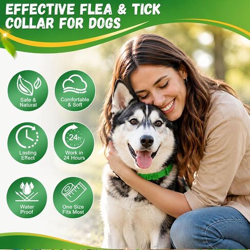 4 Pack Dog Flea Collars for Small Medium Large Dogs, Adjustable in Saudi Arabia