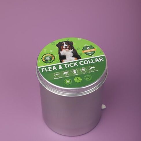 4 Pack Dog Flea Collars for Small Medium Large Dogs, Adjustable in Saudi Arabia