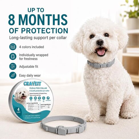 Craveit Flea and Tick Collar for Dogs, 4 Pack, Small Dogs Under 18 lbs in Saudi Arabia