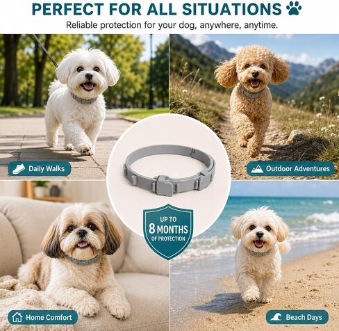 Craveit Flea and Tick Collar for Dogs, 4 Pack, Small Dogs Under 18 lbs in Saudi Arabia