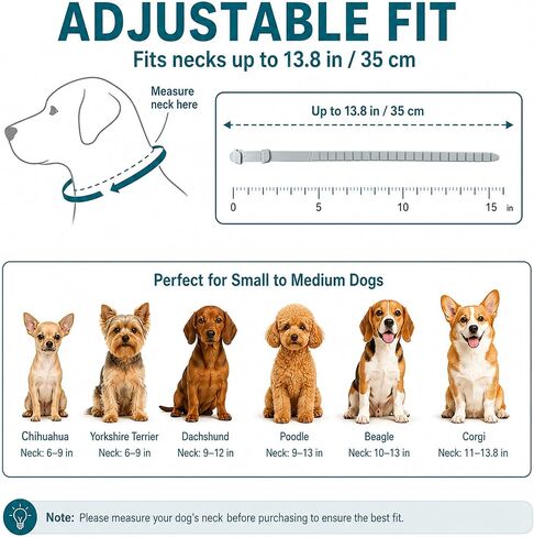 Craveit Flea and Tick Collar for Dogs, 4 Pack, Small Dogs Under 18 lbs in Saudi Arabia