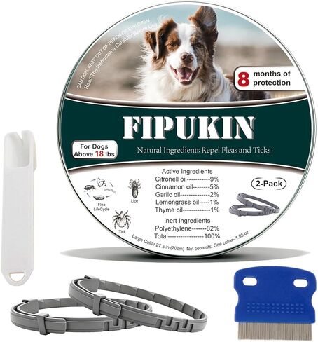 Flea and Tick Collar for Large Dogs, 2‑Pack | 8‑Month Waterproof Protection with Natural Essential Oils | Includes Comb & Tick Removal Tool in Saudi Arabia
