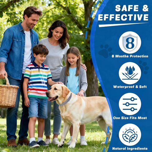Dog Flea & Tick Collars 4 Pack – 8-Month Waterproof Protection, Adjustable Size for Small, Medium & Large Dogs, Long-Lasting Comfort & Prevention in Kuwait