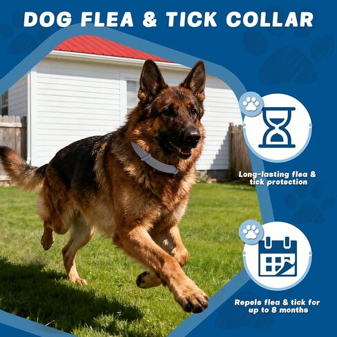 Dog Flea & Tick Collars 4 Pack – 8-Month Waterproof Protection, Adjustable Size for Small, Medium & Large Dogs, Long-Lasting Comfort & Prevention in Kuwait