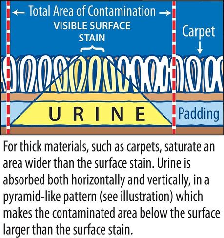 Pet Urine Odor Eliminator and Remover for Cat and Dog Urine, Oxidizer Based Pee Cleaner Destroyer for Carpets, Rugs, Mattress, etc. 128 Oz (1 Gallon) in Kuwait