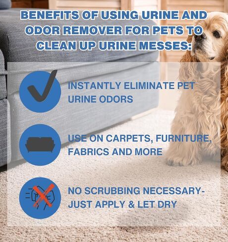 Pet Urine Odor Eliminator and Remover for Cat and Dog Urine, Oxidizer Based Pee Cleaner Destroyer for Carpets, Rugs, Mattress, etc. 128 Oz (1 Gallon) in Kuwait