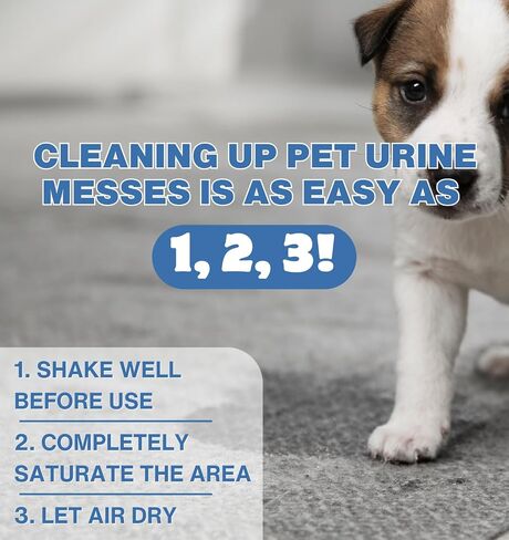 Pet Urine Odor Eliminator and Remover for Cat and Dog Urine, Oxidizer Based Pee Cleaner Destroyer for Carpets, Rugs, Mattress, etc. 128 Oz (1 Gallon) in Kuwait