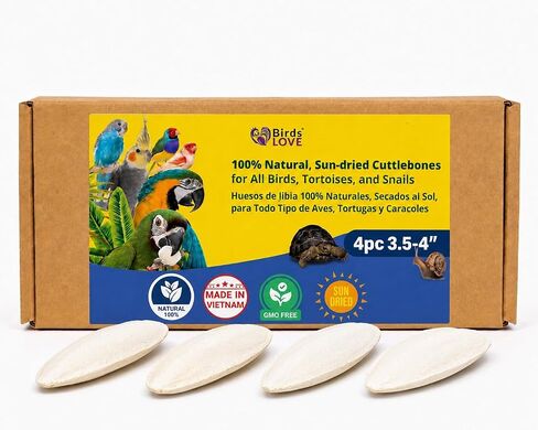 Birds LOVE 3.5-4″ Cuttlebone for Birds – 100% Natural Sun-Dried Calcium & Beak Conditioning Supplement for Parakeets, Budgies, Cockatiels, Finches & Canaries – 4 Pack with Holder – Made in Vietnam in Saudi Arabia