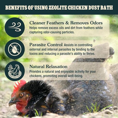 Zeolite Chicken Dust Bath, 6 lb, Natural Mineral Dust Bath for Chickens in Saudi Arabia