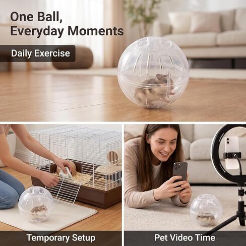 1Pc White-Transparent Plastic Silent Hamster Ball, Exercise Ball for Small Animals, Spinner Hamster Running for Sugar Gliders Small Mice Gerbils Hamsters (Diameter 10 cm in Kuwait
