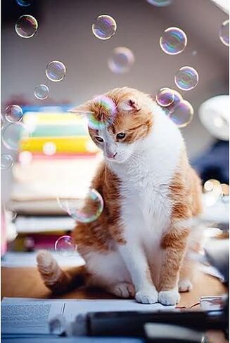 Kitty Love Bubbles: 2 Pack Catnip Scented - 4oz Bottles, Catnip Infused Long Lasting Bubbles for Cats, Non-Toxic & Allergen-Free, Combine Toy & Treat in Kuwait