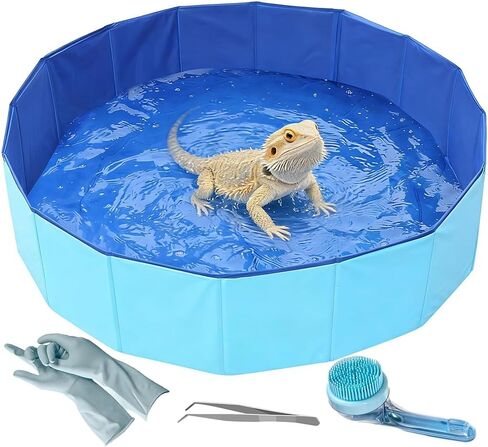 Foldable Bearded Dragon Pool Bathtub, Large Reptile Bath Pool in Kuwait