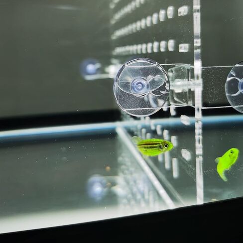 Aquarium Divider Clear 10 Gallon/20-Gallon (EH) Fish Tank Divider with Suction Cups Accessories in Kuwait
