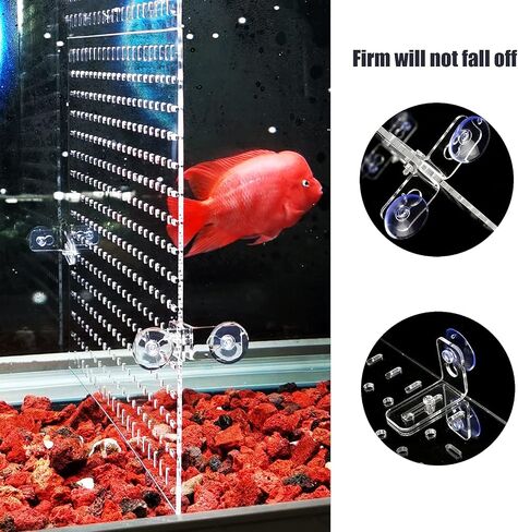 Aquarium Divider Clear 10 Gallon/20-Gallon (EH) Fish Tank Divider with Suction Cups Accessories in Kuwait