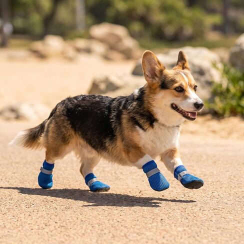 Summer Breathable Dog Shoes for Small Dogs, Mesh Dog Boots, Adjustable Reflective Non Slip Paw Protectors Booties for Puppy and Cats Blue in Saudi Arabia
