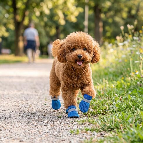 Summer Breathable Dog Shoes for Small Dogs, Mesh Dog Boots, Adjustable Reflective Non Slip Paw Protectors Booties for Puppy and Cats Blue in Saudi Arabia