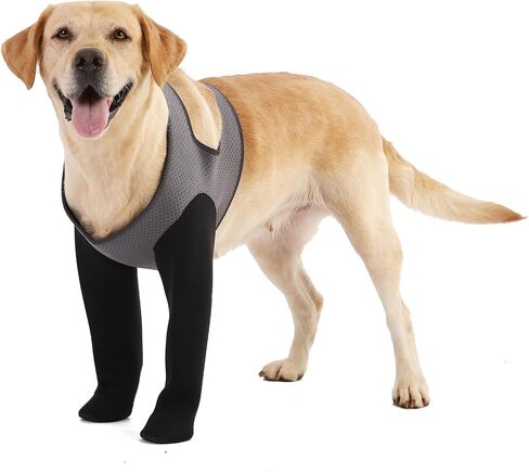 Dog Socks to Prevent Licking Paws ，Breathable Leg Sleeve to Stop Licking and Biting,Firm and Secure Protect Wounds Dog Recovery Sleeve Socks (XLarge) in Kuwait