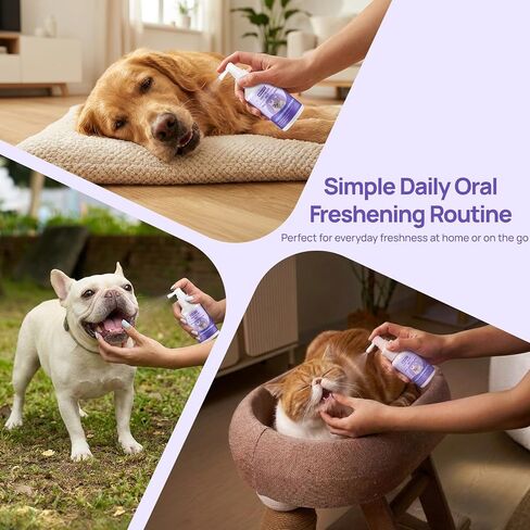 HICC PET Dog Mouth Cleaning Spray, Helps Freshen Breath, 5.1 Fl Oz in Saudi Arabia