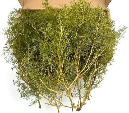 Flexible Model Tree Armatures - 1:24 to 1:220 Scale Natural Wood Texture Skeletons for Railway, Diorama & Wargame Terrain - Unbreakable & Easy to Shape, Ages 14+ (Brown) in Saudi Arabia