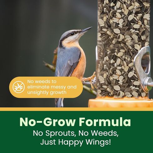 Happy Wings 5LB Songbird Blend Bird Food, Sunflower, Safflower, Peanuts in Kuwait