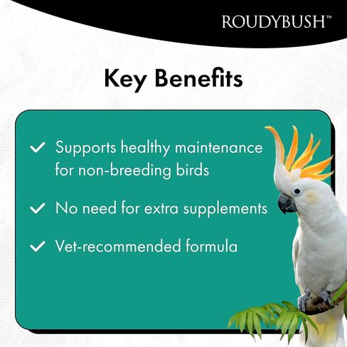 RoudyBush Daily Maintenance Food for Birds - Scientifically Formulated Bird Feed - Bird Food Pellets w/Corn, Wheat, Soy & More - Nutritious & Healthy Feed for Birds (Mini, 44oz) in Kuwait