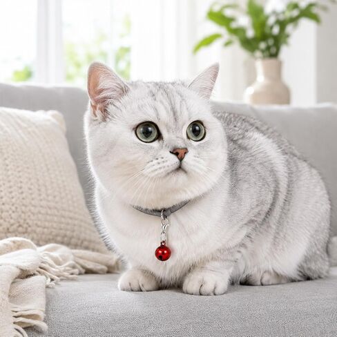 8 Pack Cat Bells for Collar Loud, Colourful Dog Cat Collar Bell in Kuwait