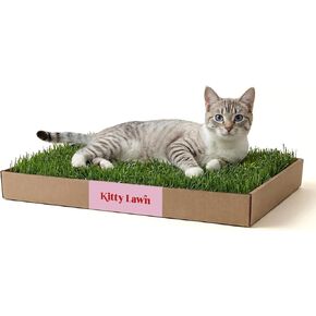 Kitty Lawn Real Grass Cat Lounger & Bed - Natural Grass Pad for Cats 24x16 in Saudi Arabia