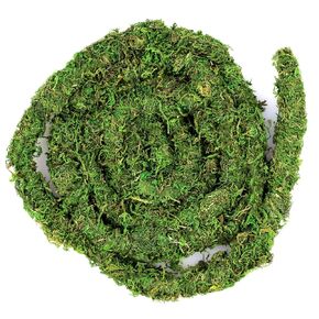 Galápagos (05266) MossVine, Real Moss Vine, 12FT, Green in Kuwait