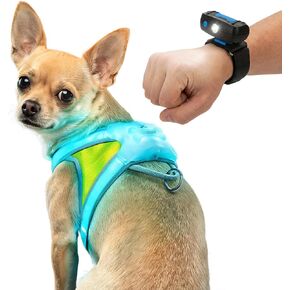 noxgear LightHound Light Up Reflective Dog Harness, Large in Kuwait