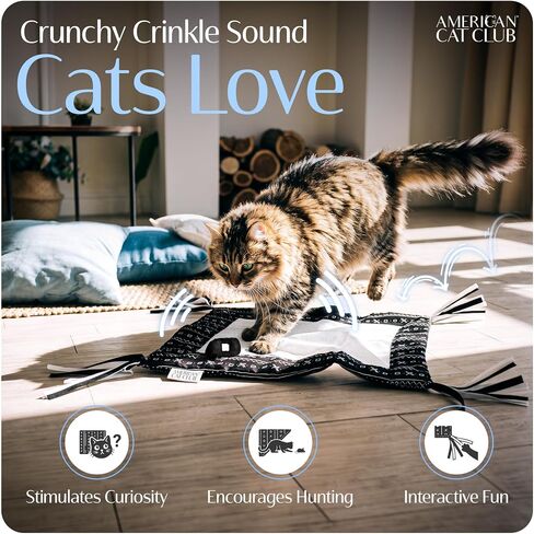 American Cat Club Reversible Crinkle Cat Mat with Mouse Toy, 18" x 13" in Saudi Arabia