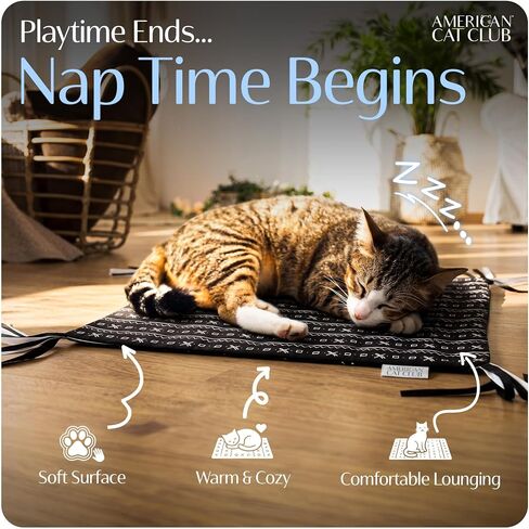 American Cat Club Reversible Crinkle Cat Mat with Mouse Toy, 18" x 13" in Saudi Arabia