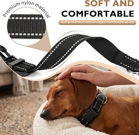 Dachshund Collar, Reflective Dog Collar, Sturdy and Durable, Black in Saudi Arabia
