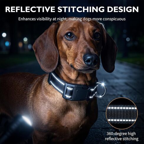 Dachshund Collar, Reflective Dog Collar, Sturdy and Durable, Black in Saudi Arabia