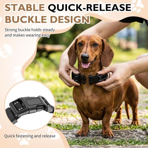 Dachshund Collar, Reflective Dog Collar, Sturdy and Durable, Black in Saudi Arabia