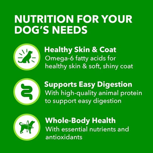 IAMS Proactive Health Senior Ground Wet Dog Food, Chicken, 13 oz, 12 Pack in Kuwait