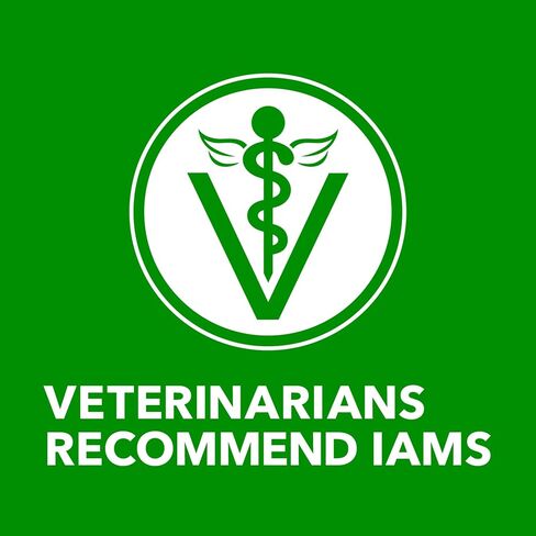 IAMS Proactive Health Senior Ground Wet Dog Food, Chicken, 13 oz, 12 Pack in Kuwait