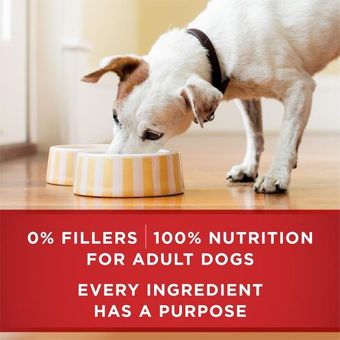 Purina ONE Classic Ground Beef & Rice Wet Dog Food, (12) 13 oz Cans in Kuwait